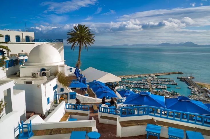 Ancient Carthage & Mediterranean Wonders of Tunisia