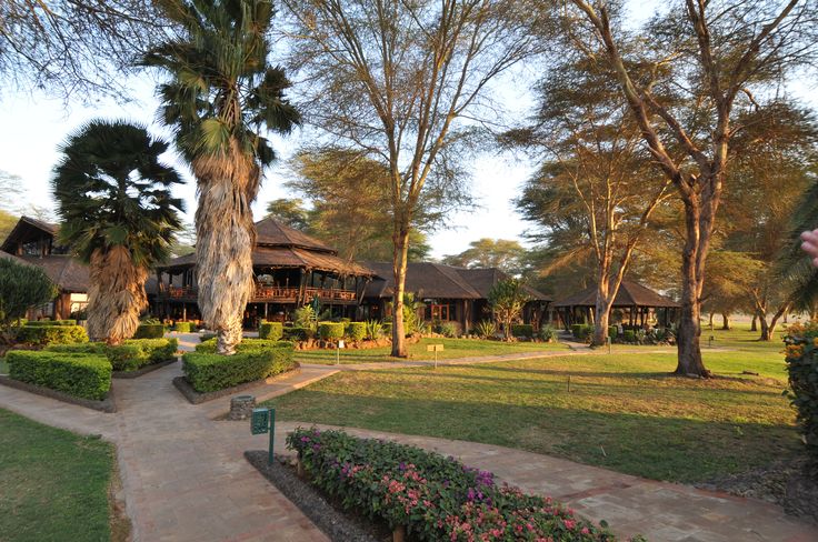 Luxury Amboseli Escape at Ol Tukai Lodge