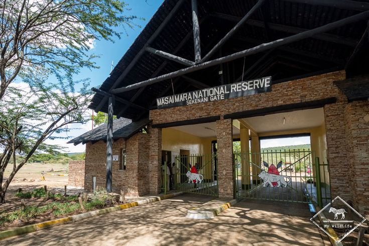 Maasai Mara on a Budget